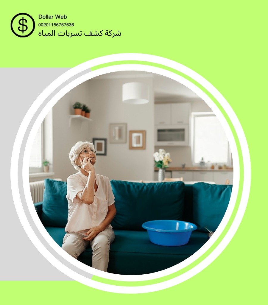 شركات كشف تسربات المياه