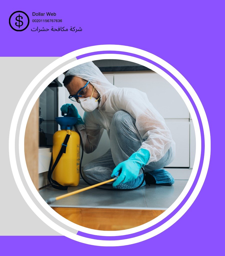 أفضل شركة مكافحة حشرات